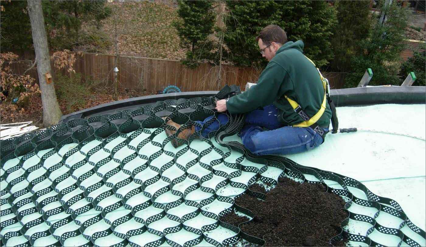 Green Roofs